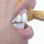 Miswak