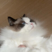 阿萨德瓦达sdfsdf