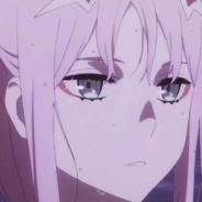 终是李哥梦了碟