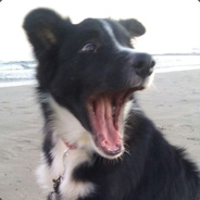 PeRRo aVieSo - steam id 76561197970768864