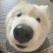 mossad-survailance-droid