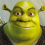 shrek's avatar