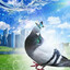 Pigeon Gaming