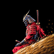 KING_GS - steam id 76561199002998509