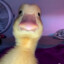 EyeOfTheDuck