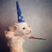 Wizard Rat