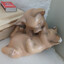 i have the body of a pig