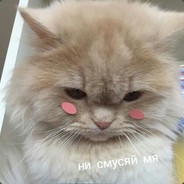 dima
