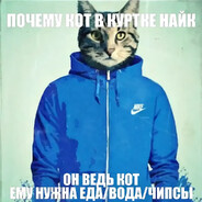 Директор