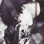 haise