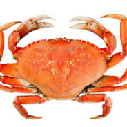 Crab