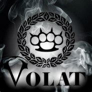 V O L A T - steam id 76561197961893167