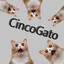 CincoGato