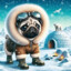 Arctic Pug