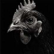 Chickenboi6800 Steam avatar