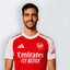 Mikel Merino