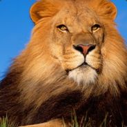 Arez - steam id 76561197960659090