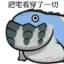 已老实