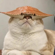 snak Steam avatar