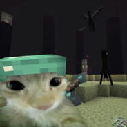 牛子如黎明般闪耀