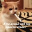 Свинной Грипп