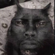 sie