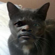 shanky avatar
