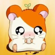 hamtaro