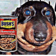 Bush&#039;s Baked Beans