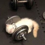 idontneedfriendsihave3brothers.