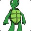 Mr Turtle