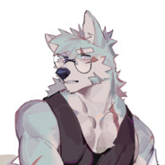 想养一只哈士奇