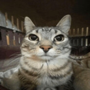 Avatar Duzy_dzordz
