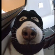 thats a lot of damage - steam id 76561198276822306