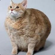 NiToAd's Avatar