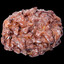 Apple fritter enjoyer