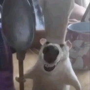 北京人去四川团建-自贡里都是京爷