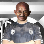 TSM Mahatma Gandhi