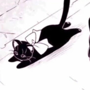 这里是小小小毅啊呸小多了