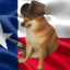 The Texas Doggo