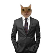 pineuysi