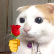 女神便秘我饿三天