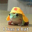 Frog_In_A_Hat