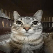 พ่อเมิง