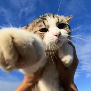 玩家头像