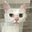 ‧₊˚✧PIXEL✧˚₊‧