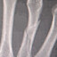 bondulence