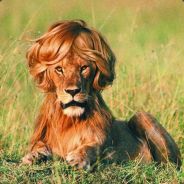 WeezyRSA - steam id 76561198072070699