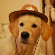 Uncle Hot Tub Johnny - steam id 76561197971798029
