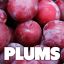 Got Plums